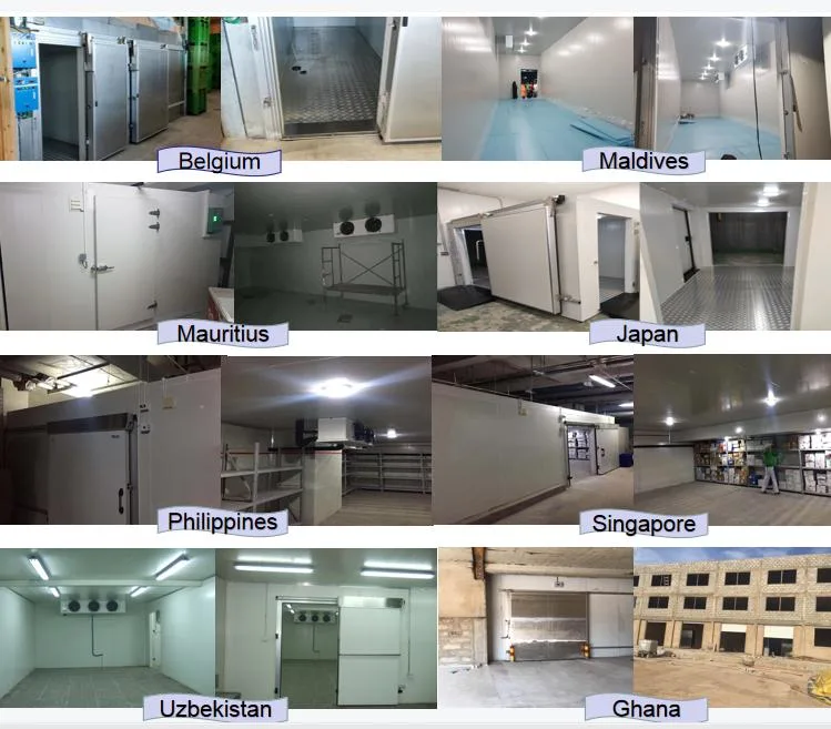 Industrial Large Capacity Low Energy Food/Medicine Cold Storage