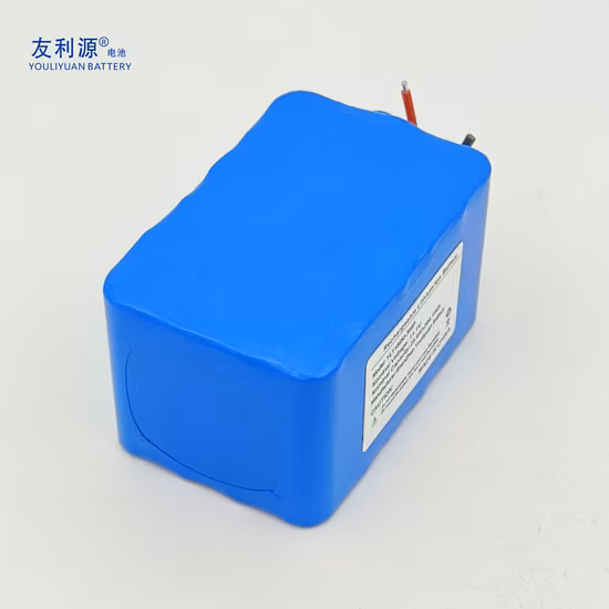 Fabrik OEM 36V 48V 51,2V 100ah 200ah LiFePO4 Lithium-Ferrophosphat-Akku 18650 LiFePO4-Akku für Energiespeichersystem RV PV Golfwagen